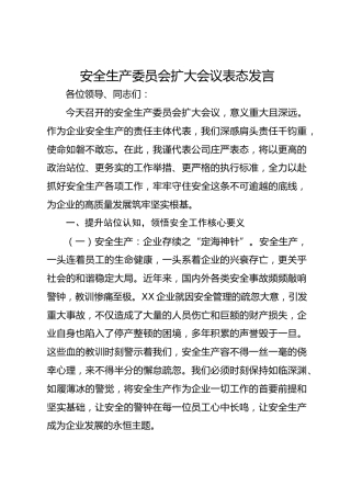 安全生产委员会扩大会议表态发言