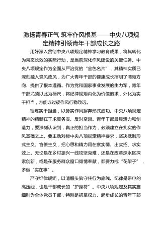 激扬青春正气 筑牢作风根基——作风建设引领青年干部成长之路