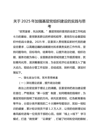 关于2025年加强基层党组织建设的实践与思考