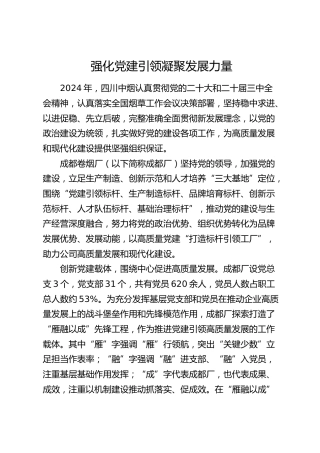 党建经验：强化党建引领 凝聚发展力量