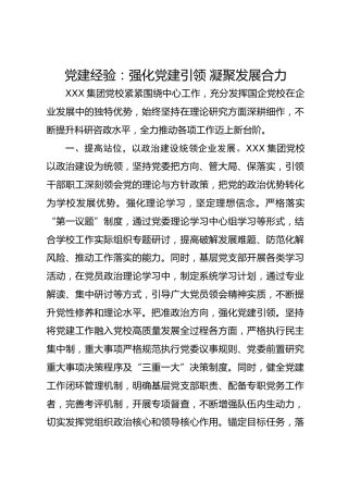 党建经验：强化党建引领 凝聚发展合力