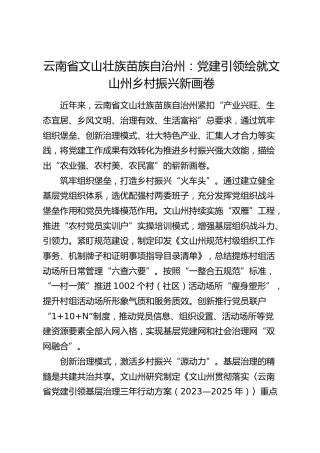 党建经验：党建引领绘就文山州乡村振兴新画卷