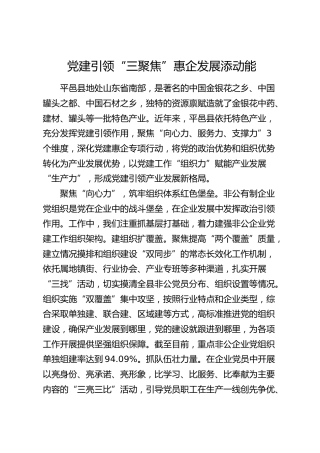 党建经验：党建引领“三聚焦”惠企发展添动能
