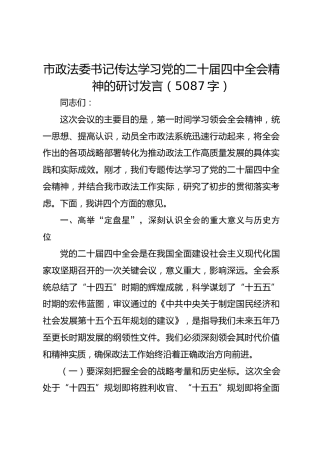市政法委书记传达学习党的二十届四中全会精神的研讨发言
