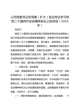 国企党委书记在党委（扩大）会议传达学习党的二十届四中全会精神会议上的讲话