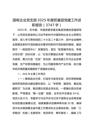 国企党支部2025年度抓基层党建工作述职报告