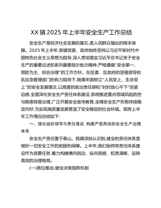 XX镇2025年上半年安全生产工作总结（2）