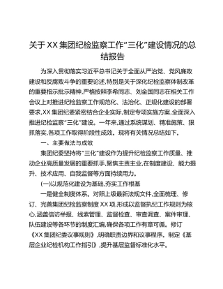关于XX集团纪检监察工作“三化”建设情况的总结报告