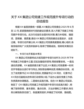 关于XX集团公司党建工作规范提升专项行动的总结报告