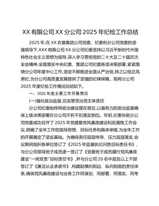 XX有限公司XX分公司2025年纪检工作总结
