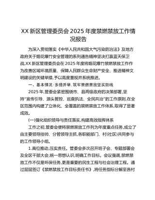 XX新区管理委员会2025年度禁燃禁放工作情况报告