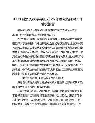 XX区自然资源局党组2025年度党的建设工作情况报告