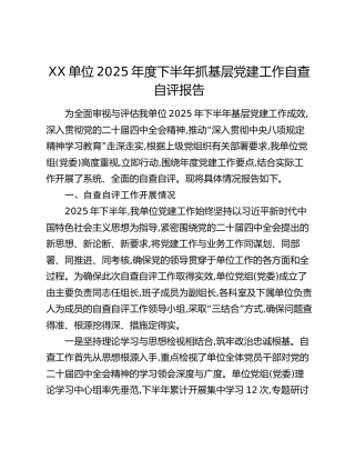 XX单位2025年度下半年抓基层党建工作自查自评报告