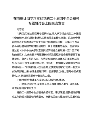 在市审计局学习贯彻党的二十届四中全会精神专题研讨会上的交流发言