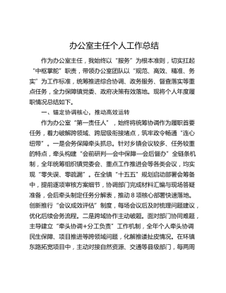 办公室主任个人工作总结（2）