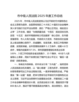 市中级人民法院2025年度工作总结
