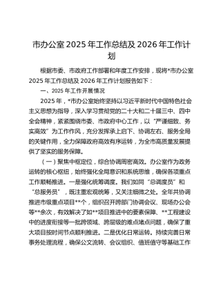 市办公室2025年工作总结及2026年工作计划