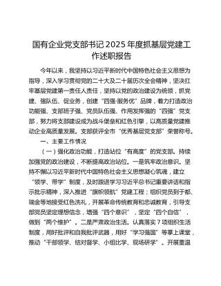 国有企业党支部书记2025年度抓基层党建工作述职报告