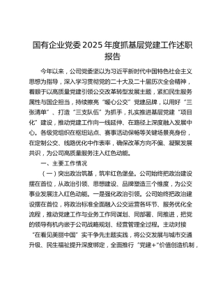 国有企业党委2025年度抓基层党建工作述职报告