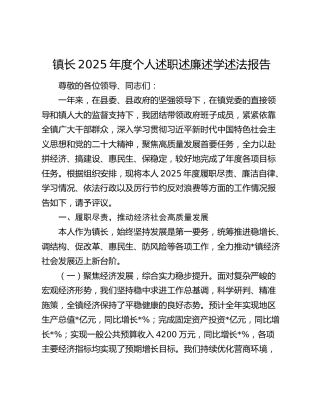 镇长2025年度个人述职述廉述学述法报告