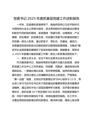 党委书记2025年度抓基层党建工作述职报告