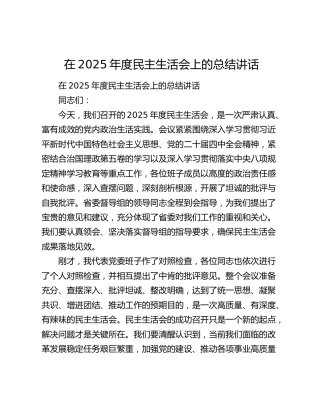 在2025年度民主生活会上的总结讲话