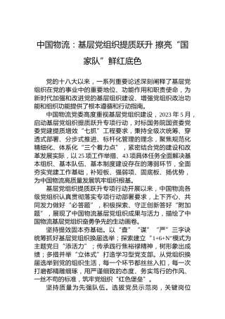 国企（中国物流）党建工作2025