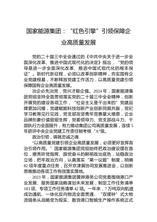 国企（国家能源集团）党建工作2025