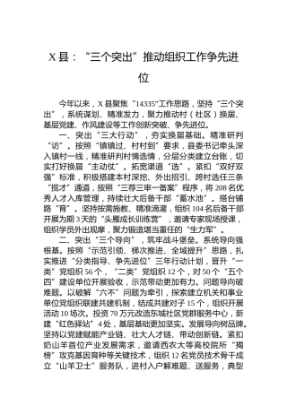 X县党建工作：“三个突出”推动组织工作争先进位
