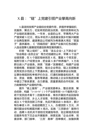 X县党建工作：“链”上党建引领产业攀高向新