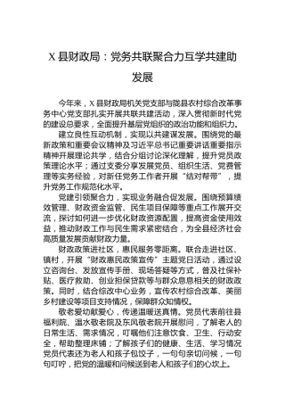 X县财政局党建工作：党务共联聚合力互学共建助发展