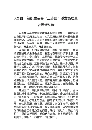 XX县党建工作：组织生活会“三步曲”激发高质量发展新动能