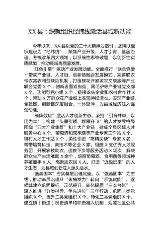 XX县党建工作：织就组织经纬线激活县域新动能