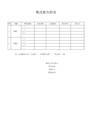 整改报告附表