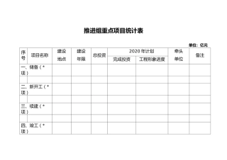 推进组重点项目统计表
