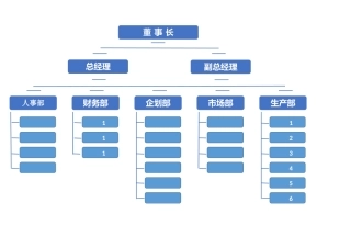 117企业公司组织构架图