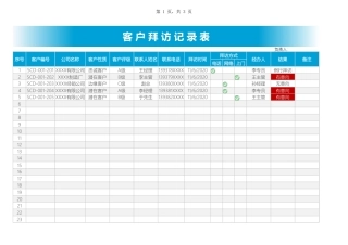 309客户拜访记录表