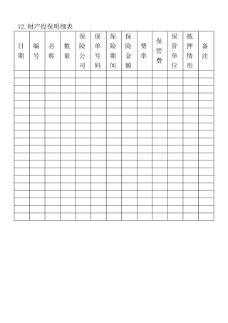 12.财产投保明细表