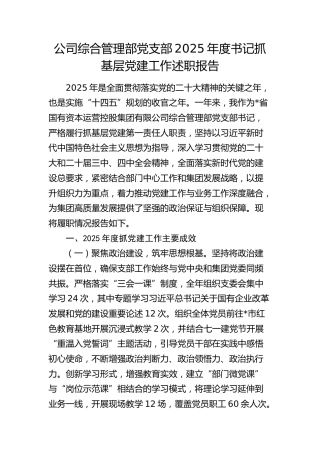 2025年公司综合管理部党支部书记抓党建工作述职报告