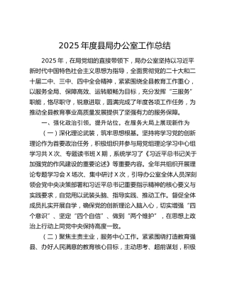 2025年度县局办公室工作总结