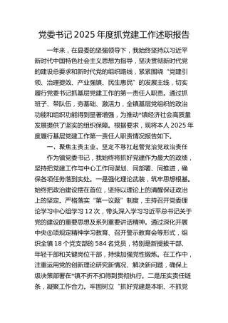 乡镇书记2025年抓党建工作述职报告3000字