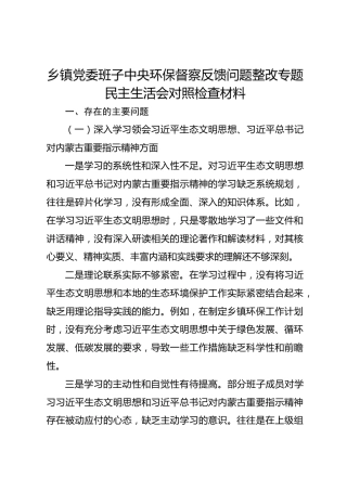 乡镇党委班子中央环保督察反馈问题整改专题民主生活会对照检查材料1