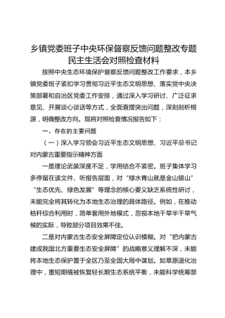 乡镇党委班子中央环保督察反馈问题整改专题民主生活会对照检查材料_