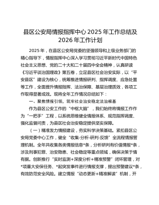 县区公安局情报指挥中心2025年工作总结及2026年工作计划