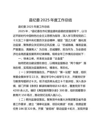 县纪委2025年度工作总结