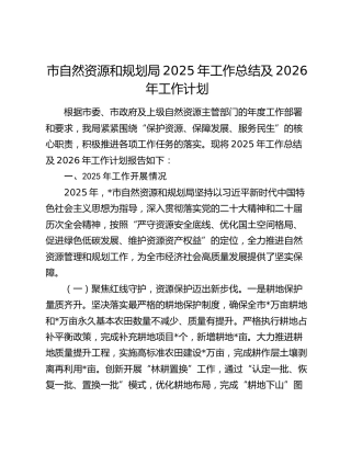 市自然资源和规划局2025年工作总结及2026年工作计划