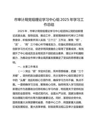 市审计局党组理论学习中心组2025年学习工作总结