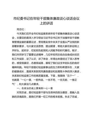 市纪委书记在年轻干部集体廉政谈心谈话会议上的讲话
