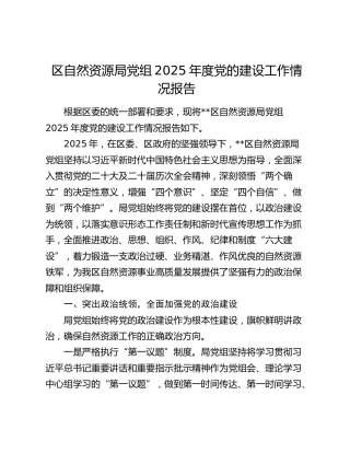 区自然资源局党组2025年度党的建设工作情况报告