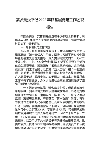某乡党委书记2025年抓基层党建工作述职报告